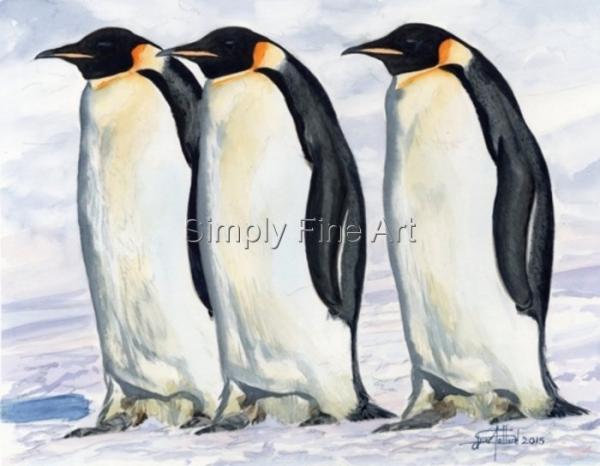 Emperor Penguins - Three males 'On Parade'
