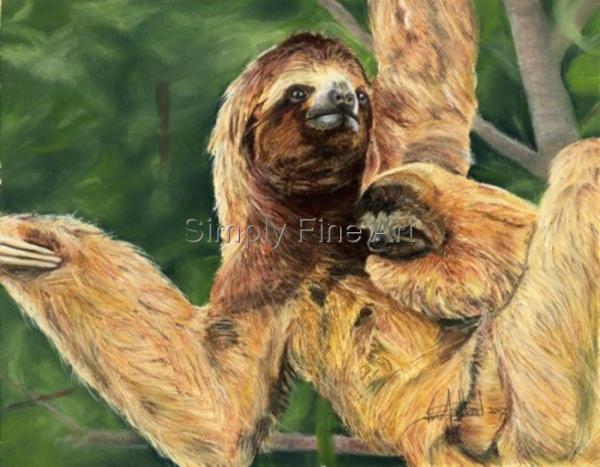 Sloth