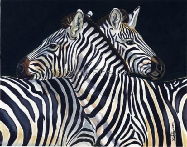 Zebra Heads (2) on black background