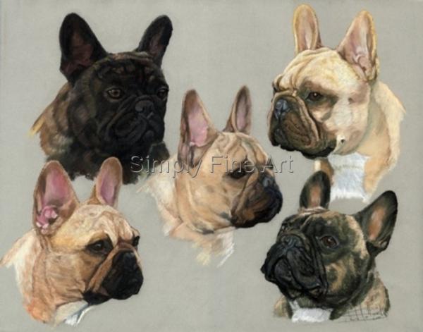 Five French Bulldog Headstudies