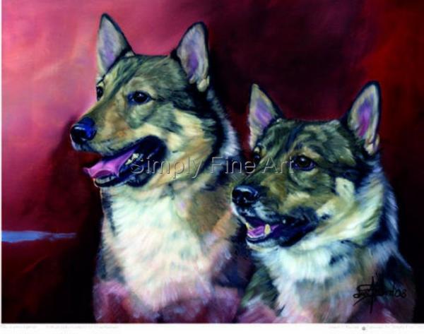 Swedish Vallhunds