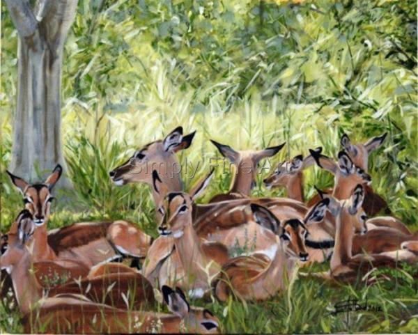 Impala Nursery