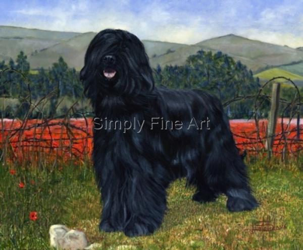 Briard with historic linked background