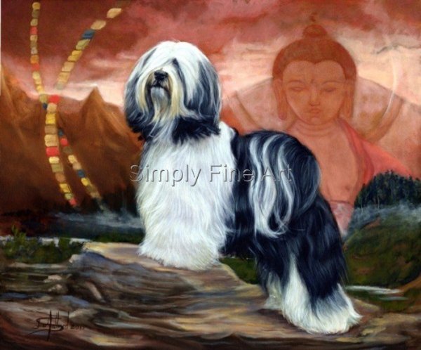 Tibetan Terrier Blk/Wh + buddah