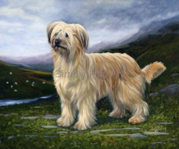 Pyrenean Sheepdog