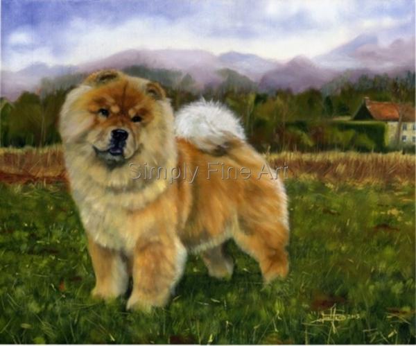 Champion Chow Chow - Red Female