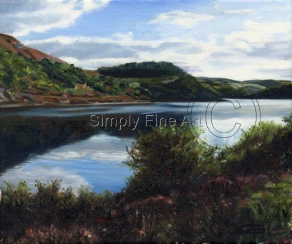 Welsh Landscape/Reservoir