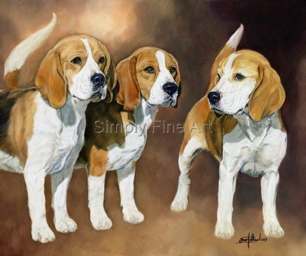 Beagles Three Champion Bitches
